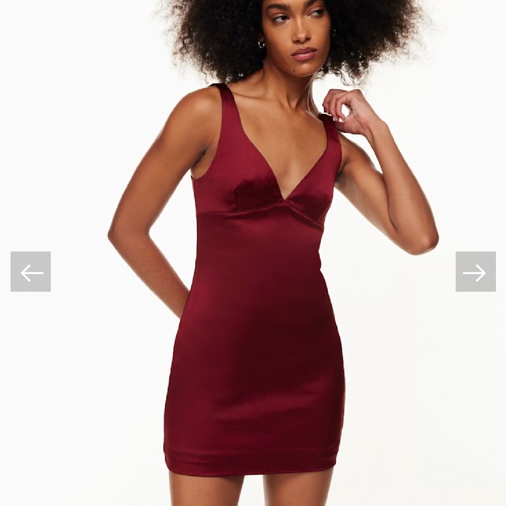 NWT Aritzia Ten by Babaton Lala satin mini dress